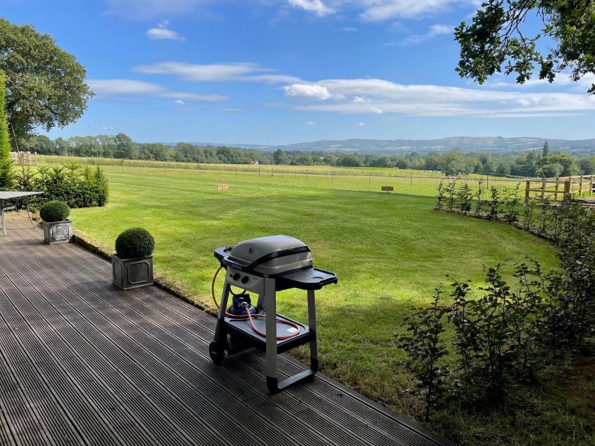 Stunning Cabin With Incredible Views Near Goodwood Rogate Ngoại thất bức ảnh